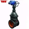 /product-detail/cast-iron-motorized-gate-valve-with-non-rising-stem-dn40-dn600-60563232794.html