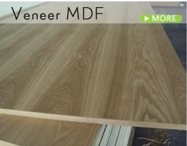 MDF_04.png