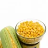 /product-detail/canned-sweet-corn-184g-60781085194.html
