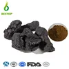 Radix Rehmanniae Preparata extract 10:1 Prepared Rehmannia Root Extract