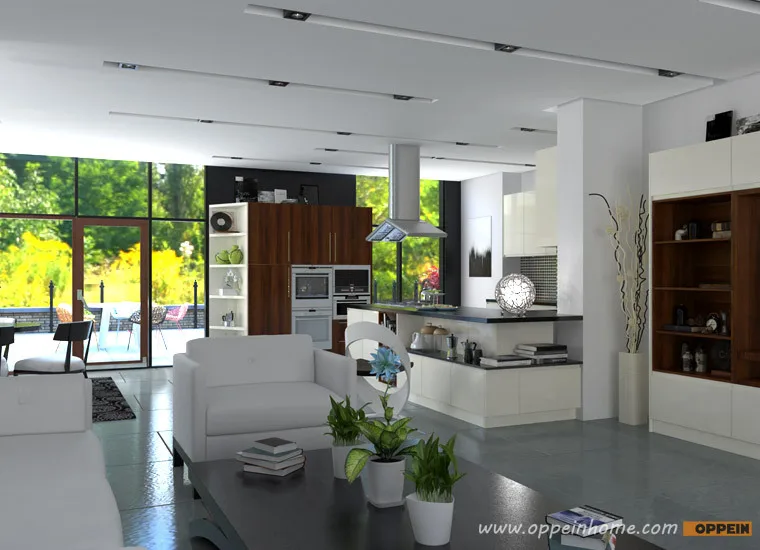 kitchen designs.jpg