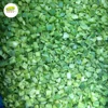Organic Bulk Frozen Green Bell Pepper