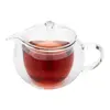 borosilicate handblown double wall glass teapot
