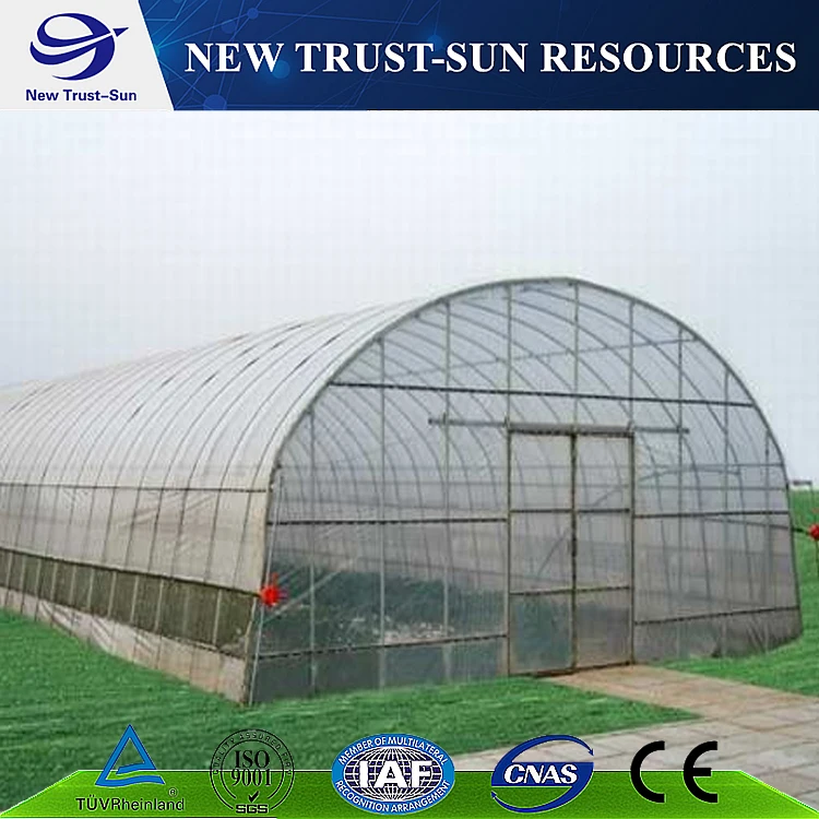  film greenhouse (36)