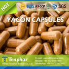 Fat Burner Yacon Root Hard Capsule OEM