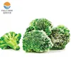 /product-detail/green-color-of-iqf-frozen-broccoli-60717026657.html