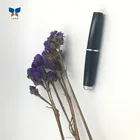 High-grade plastic lipstick tube empty lip balm tube Cosmetic makeup packaging lipstick