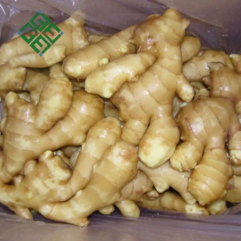 Best Quality Ginger price of fresh ginger
