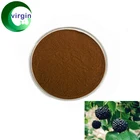 High Quality Siberian Ginseng Extract / Eleuthero Extract / Powdered Eleuthero Extract