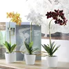/product-detail/attractive-home-decoration-vivid-silk-flowers-artificial-potted-orchids-60447901370.html