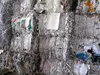 Waste Paper (Bales) to Pakistan SOP, OCC, CBS, and more
