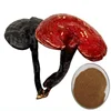 /product-detail/powder-form-ganoderma-lucidum-reishi-mushroom-extract-60627368345.html