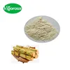 Pure Natural Sugar Cane Molasses Juice Powder