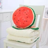 Home decorative fruit design pillow blanket 2 in 1