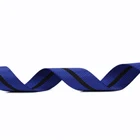 Custom Design Printed Colored Striped PP Coated Nylon Webbing Buckles Suppliers Wholesale Decorative Stitching Webbing