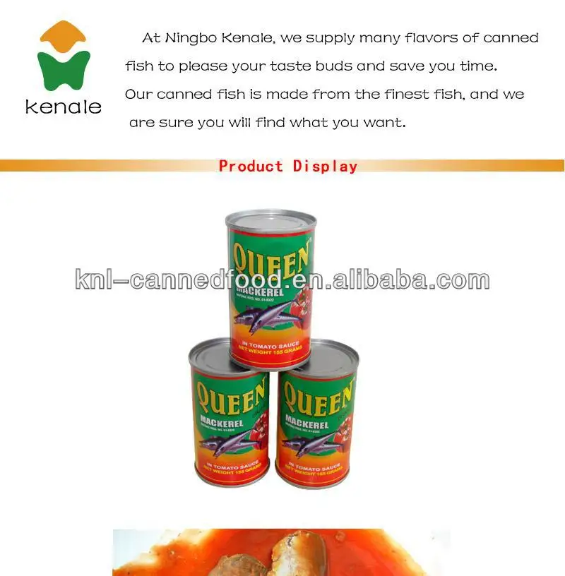 horse mackerel importers in africa in tomato sauce 155gx50tins