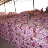/product-detail/chinese-factory-wholesale-fresh-garlic-price-1084697327.html