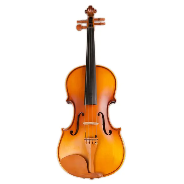 stradivarius violin photo