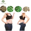 Chinese Herb OEM Fast Weight Loss Capsules Pills