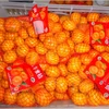 /product-detail/baby-mandarin-orange-nanfeng-orange-fresh-mandarin-orange-1461941316.html
