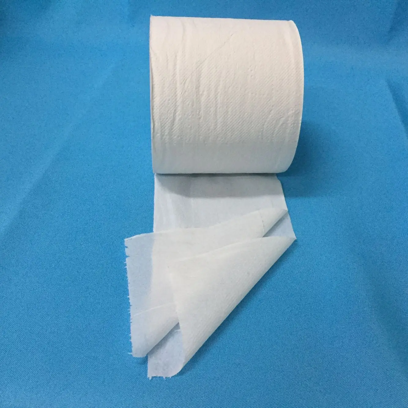roll toilet(1) (17).jpg