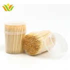 Disposable Plastic Toothpick With Angle Tip