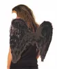 2019 Party Costume Fashion Kids And Adults Black Feather Wings