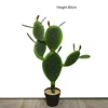 /product-detail/hot-selling-large-artificial-green-plants-mini-cactus-60812326018.html