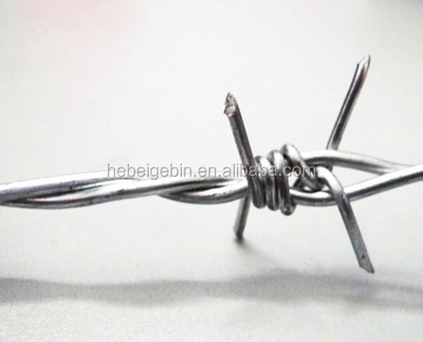 BARBED.jpg