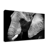 Frame Art HD Realism Animal Picture Decor Canvas Print Elephant Wall Art Painting