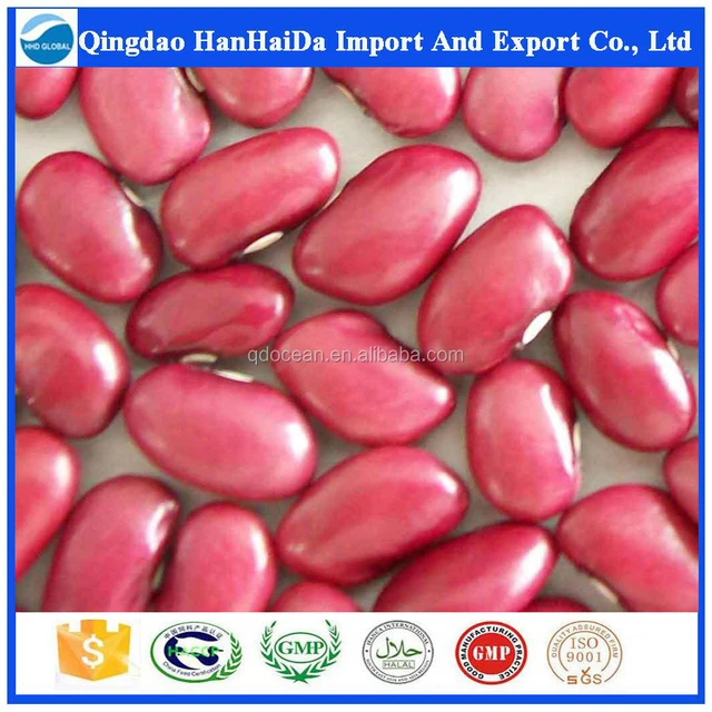 high quality white or red kidney bean with reasonable price !