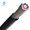 2*6AWG 2*8AWG 2*10AWG 8000 Aluminum Alloy Concentric Electrical Cable