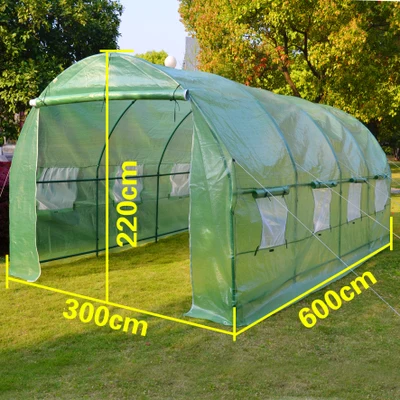greenhouse4.jpg