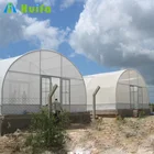 New design chicken farming poultry farm greenhouse for sale