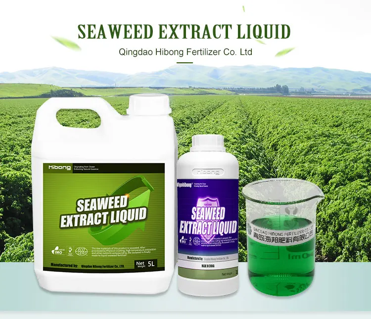 Agriculture 100% bulk Liquid kelp Seaweed fertilizer organic fertilizer price