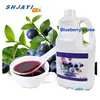 2020 New Product Taiwan Most Popular Bubble Tea Ingredients Easy Blueberry Fruit Puree Dessert Drinks Recipes For Yogurt