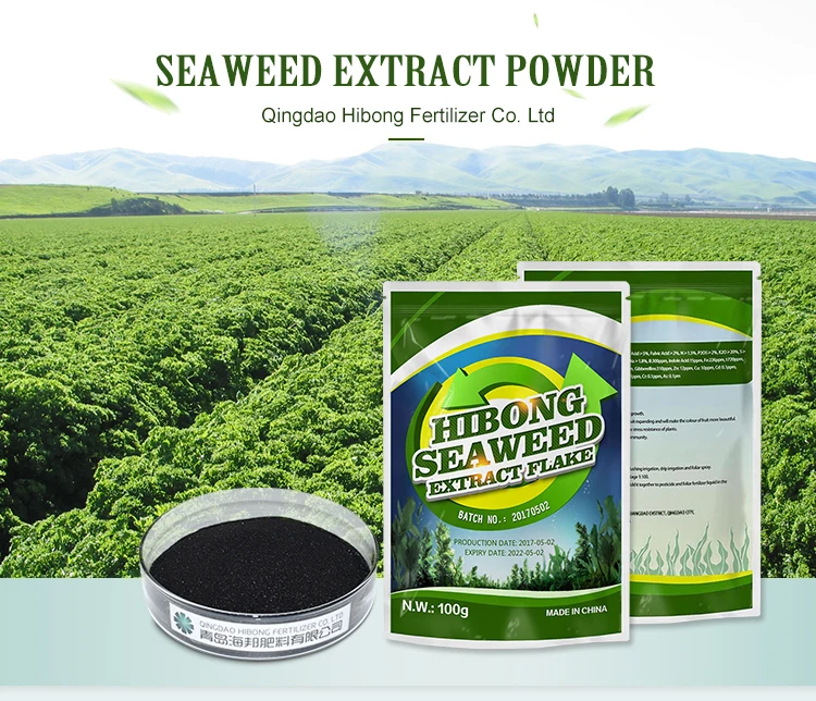 agricultural high purity water soluble natural organic seaweed kelp extract fertilizer flake