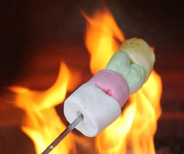 Disposable Meat Hamburger Hot Dogs Cake Marshmallow Roasting Barbecue