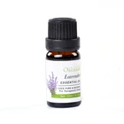 100% Pure Lavender Essence Oil Therapeutic Grape 10ml Aromatherapy Essential Oil Massage And Body Oil