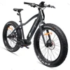 High Quality Big Wheel Dynamo 26 Inch 36V E Mountain Bike 8Fun Mid Drive Fat Tire Chopper Bike