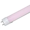 energy saving fluorescent replace Meat Light Tube T8 Pink Led Tube Lights