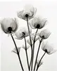 The most popular canvas black and white flower painting ZZ-0500