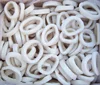 High Quality Frozen Squid Rings (Dosidicus gigas)