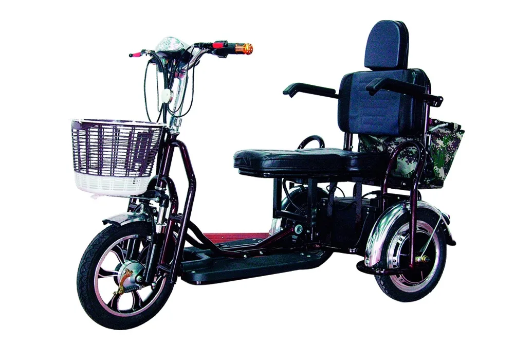 cheap two seats adult electric 3 wheel motorcycle