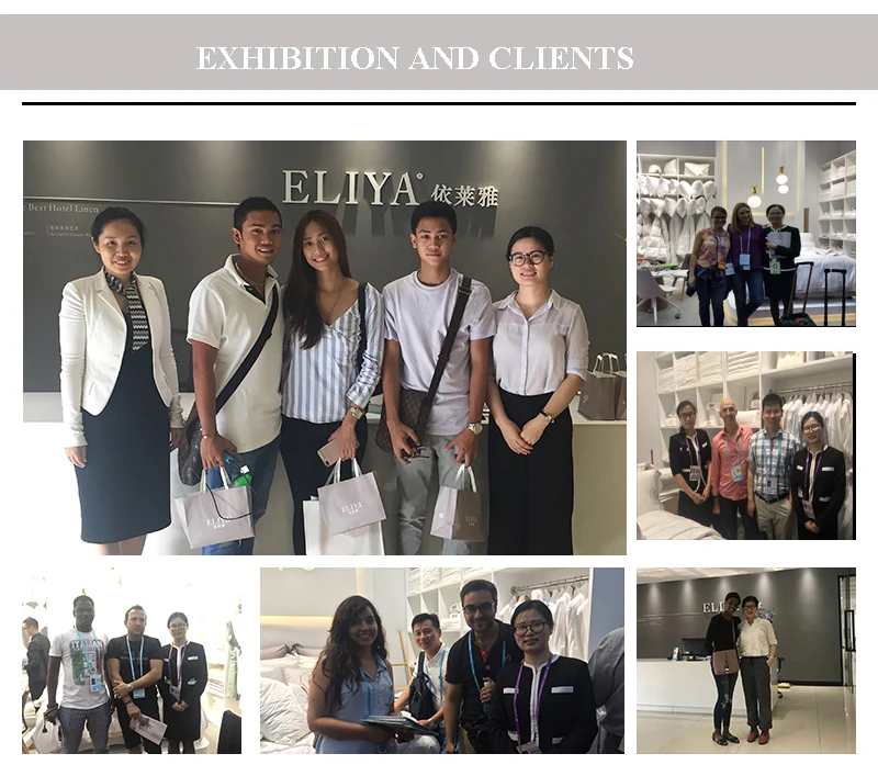 exihibition and clients 2