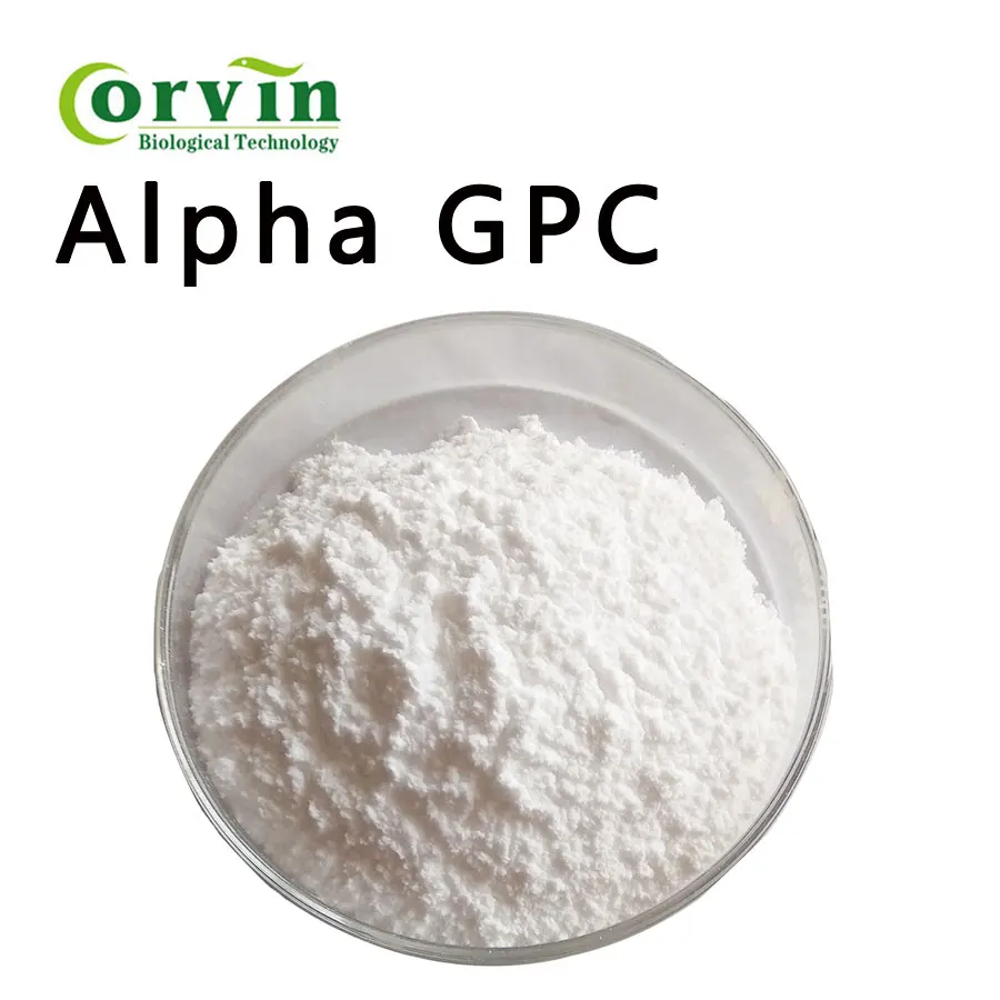 alpha gpc powder 99%