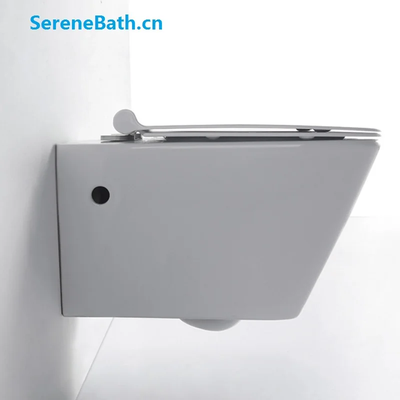 rimless water closet