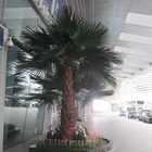 Indoor good light transmission large tall plastic leaves palm artificial trees
