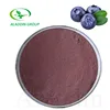 ISO high quality blueberry fruit extract powder frozen blueberry powder