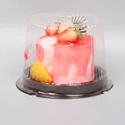 High Quality Disposable Cheap Food Cake Blister Plastic Packaging Box
